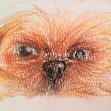 zizu Ein Projekt aus dem Bereich Traditionelle Illustration von Andrea Camilo - 23.05.2023