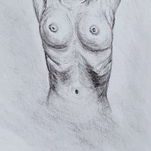 My project for course: Fundamentals of Figure Drawing with Charcoal. Fine Arts, Drawing, Realistic Drawing, and Figure Drawing project by Susan Evans - 05.22.2023