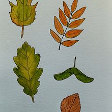 Nature illustration in watercolour. Pintura em aquarela projeto de Bonnie Cameron - 24.05.2023