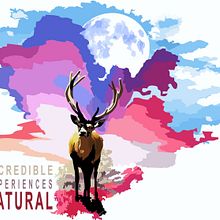 Diseños . % César Eduardo Cabrera Chaffo tarafından hazırlanan Geleneksel illüstras, on, Ve Tasarım projesi - 05.26.2023