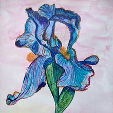 Expressive flower with watercolors and watercolor pencils. Projekt z dziedziny  Sztuki piękne, R, sunek botaniczn,  R, sunek, Malowanie akwarelą, Ilustracja naturalist i czna użytkownika Beant Kaur Dhillon - 26.05.2023