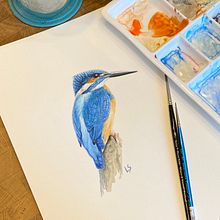 My project for course: Naturalist Bird Illustration with Watercolors. Un proyecto de Ilustración tradicional, Pintura a la acuarela, Dibujo realista e Ilustración naturalista				 de Lyndsay Stephenson - 26.05.2023