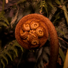 Ciclo Ácido. Un proyecto de Música, Fotografía, Cine, vídeo, televisión, Animación, Vídeo y Sound Design de Alejandro Gómez - 10.04.2020