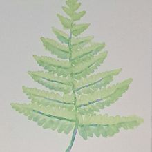 My project for course: Creating Liquid Watercolors and Botanical Inks . Arte și meșteșuguri, Arte plastice, Pictura, Pictură în acuarelă, DIY și Teoria culorilor de laurenmiller1982 - 05.27.2023