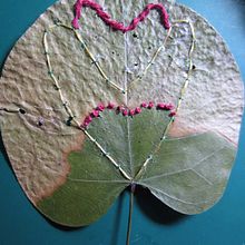 Mon nouveau projet de broderie végétale . Creativit project by Ysia - 05.27.2023