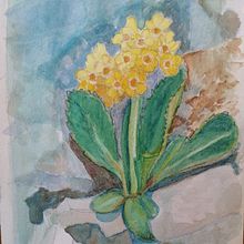 My project for course: Botanical Illustration with Watercolors. Traditional illustration, Fine Arts, Painting, Drawing, Watercolor Painting, and Botanical Illustration project by Blaž Mesec - 05.27.2023