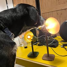 3D printed lamps. Un proyecto de Modelado 3D, 3D y Diseño de San Punt - 27.05.2023
