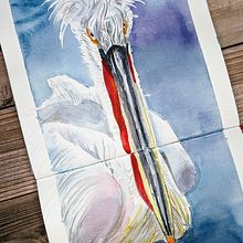 My project for course: Artistic Watercolor Techniques for Illustrating Birds. Traditional illustration, Watercolor Painting, Realistic Drawing, and Naturalistic Illustration project by Anna Avigad - 05.28.2023