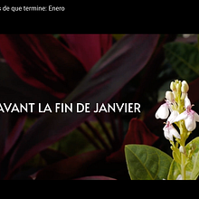 CORTOMETRAJE - Antes de que termine: Enero. Un proyecto de Cine, vídeo, televisión, Producción audiovisual					 y Postproducción audiovisual de Isabella Alguacil - 27.01.2023