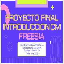 Introducción al community management - FREESIA (Make up, Accesorios y Belleza). Social Media, Digital Marketing, Content Marketing, Facebook Marketing & Instagram Marketing project by Carlos Perez - 05.28.2023
