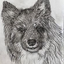 Charcoal pencil drawing with some corrections. Ilustração tradicional projeto de Elspa Metzdorff - 29.05.2023