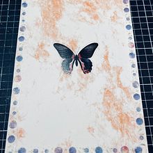 Mi proyecto del curso: Creación de un scrapbook de ilustración. Traditional illustration, Painting, Collage, Paper Craft, Creativit, DIY, Sketchbook, and Bookbinding project by Julissa Chávez - 05.31.2023