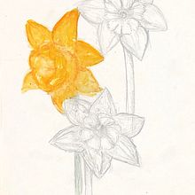 Dibujos personales - Flores . Desen în creion și Pictură în acuarelă de Meritxell Esteve Avileo - 05.31.2023