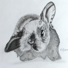 Mi proyecto del curso: Dibujo naturalista de animales con grafito. Traditional illustration, Pencil Drawing, Drawing, and Naturalistic Illustration project by sandra avendaño - 05.31.2023