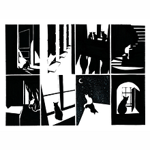 BLACKS AND WHITES. Un proyecto de Ilustración tradicional e Ilustración con tinta de Paula Aneas García - 31.05.2023