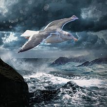 Em busca da Liberdade - Inspirado no Livro Fernão Capelo Gaivota . Fotografi, Fotografi Pascaproduksi, Retouching Foto, Photomontage, Ilustrasi tradisional, Dan Desain proyek oleh David Albuquerque - 05.25.2023