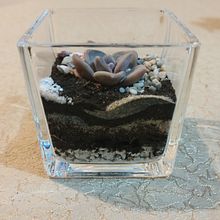 Mini terrario . Un proyecto de Diseño de PAULINA TOBAR - 07.03.2023