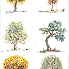 Arboles practica Ein Projekt aus dem Bereich Aquarellmalerei von Roberto Justo Robiolo - 02.06.2023