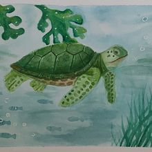 Tortuga de mar. Watercolor Painting project by verosfera - 06.03.2023