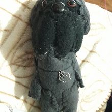 My project for course: Designing and Making Your Own Soft Toy. Un progetto di Character design, Artigianato, Design di giocattoli, Cucito, Modellistica e confezione sartoriale di Konstantina Papagiannopoulou - 02.06.2023