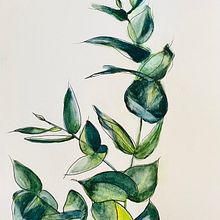 Eucalyptus . Traditional illustration project by Patty - 06.03.2023