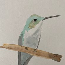 My project for course: Illustrating Nature: A Creative Exploration. Ilustração tradicional, Pintura, Desenho, Pintura em aquarela, Ilustração com tinta e Ilustração naturalista projeto de Sandra - 03.06.2023