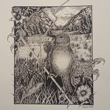 Mi proyecto final: «Ave sobre trigo». Sketching, Drawing, Artistic Drawing, Sketchbook, Ink Illustration, and Naturalistic Illustration project by Sergio Alberto Urueta Calderón - 06.05.2023