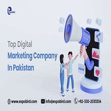 Custom Web Development Services in Pakistan 2022. Een project van  Ontwerp y  Webdevelopment van alinajosephclass - 14.06.1995