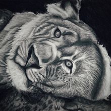 Leona Ein Projekt aus dem Bereich Traditionelle Illustration von Montse Resendiz - 06.06.2023