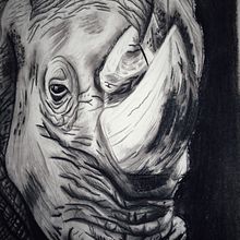 Rinoceronte. Un progetto di Illustrazione tradizionale di Montse Resendiz - 06.06.2023