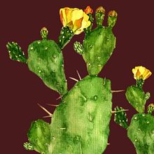 Mi proyecto del curso: Ilustración botánica con acuarela. Un projet de Illustration traditionnelle, Beaux Arts, Peinture, Dessin, Aquarelle et Illustration botanique de sofistahringer - 07.06.2023