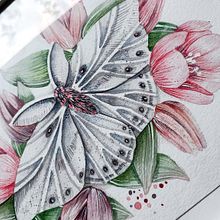 My project for course: Naturalist Illustrations with Watercolors: Drawing and Composition. Traditional illustration, Drawing, Watercolor Painting, and Naturalistic Illustration project by lena_tsch - 06.07.2023