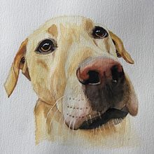 My project for course: Expressive Animal Portraits in Watercolor. Traditional illustration, Watercolor Painting, Realistic Drawing, and Naturalistic Illustration project by t_party - 06.06.2023