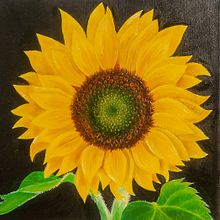 Girasol. Un proyecto de Ilustración tradicional, Bellas Artes y Pintura al óleo de Aura Aura - 08.06.2023