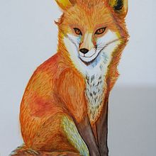 Mi proyecto del curso: Técnicas experimentales de acuarela para principiantes. Projekt z dziedziny Trad, c, jna ilustracja,  Sztuki piękne, Malowanie akwarelą, Ilustracja naturalist i czna użytkownika natalya.ms - 08.06.2023