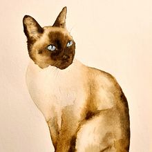 My project for course: Expressive Animal Portraits in Watercolor. Traditional illustration, Watercolor Painting, Realistic Drawing, and Naturalistic Illustration project by wren1979 - 06.09.2023