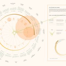 Il mio progetto del corso: Visualizzazione di dati e information design: crea un modello grafico. Information Design, Interactive Design & Infographics project by stefania taddeo - 06.09.2023