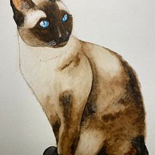 My project for course: Expressive Animal Portraits in Watercolor. Projekt z dziedziny Malowanie akwarelą, Ilustracja naturalist, czna, Trad, c, jna ilustracja, R, sunek realist i czn użytkownika Brigitte Fabi - 09.06.2023