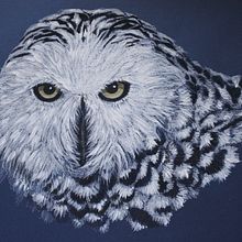 Study for inner spirit of Snowy Owl: Human eyes contained in Owl persona.. Traditional illustration, Fine Arts, Creativit, Pencil Drawing, Drawing, and Artistic Drawing project by winsome - 06.10.2023