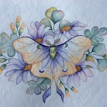 Mi proyecto del curso: Dibujo y composición naturalista en acuarela. Traditional illustration, Drawing, Watercolor Painting, and Naturalistic Illustration project by Adriana Campos - 06.10.2023