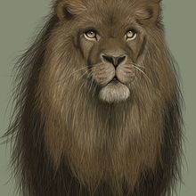 Lion of Judah . Traditional illustration project by Melissa Clark - 06.11.2023
