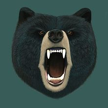 Black Bear . Traditional illustration project by Melissa Clark - 06.11.2023