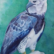 Meu projeto do curso: Aquarela naturalista com expressão e personalidade. Projekt z dziedziny Trad, c, jna ilustracja, Malowanie akwarelą, Ilustracja naturalist i czna użytkownika Natália Fontes Rodrigues - 11.06.2023