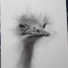 Expressive Drawing with Charcoal. Drawing project by Sue Sumner - 06.11.2023
