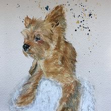 My project for course: Expressive Animal Portraits in Watercolor. Projekt z dziedziny Trad, c, jna ilustracja, Malowanie akwarelą, R, sunek realist, czn, Ilustracja naturalist i czna użytkownika hellokristina - 13.06.2023