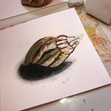 Mis dos primeras acuarelas después de varios años sin intentarlo, en este caso dos caracoles, marino y terrestre.. Un progetto di Pittura ad acquerello, Illustrazione tradizionale e Illustrazione naturalistica di Franklin Borja Contreras - 03.06.2023
