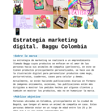Marketing de contenidos para redes sociales_Emprendimiento Baggu Colombia Ein Projekt aus dem Bereich Marketing, Digitales Marketing, Content-Marketing, Marketing für Facebook, YouTube Marketing und Marketing für Instagram von est_fernanda_corre - 15.06.2023
