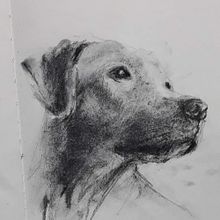 Mi proyecto del curso: Ilustración de animales con carboncillo y tinta. Un proyecto de Bellas Artes, Dibujo, Ilustración con tinta e Ilustración naturalista				 de v2065 - 15.06.2023