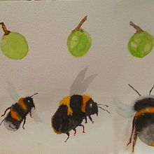 An exercise along the way. Un progetto di Illustrazione tradizionale di Margaret Fraser - 17.06.2023