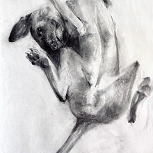 Expressive Drawing with Charcoal project. Un projet de Beaux Arts de Deborah Masterson - 18.06.2023